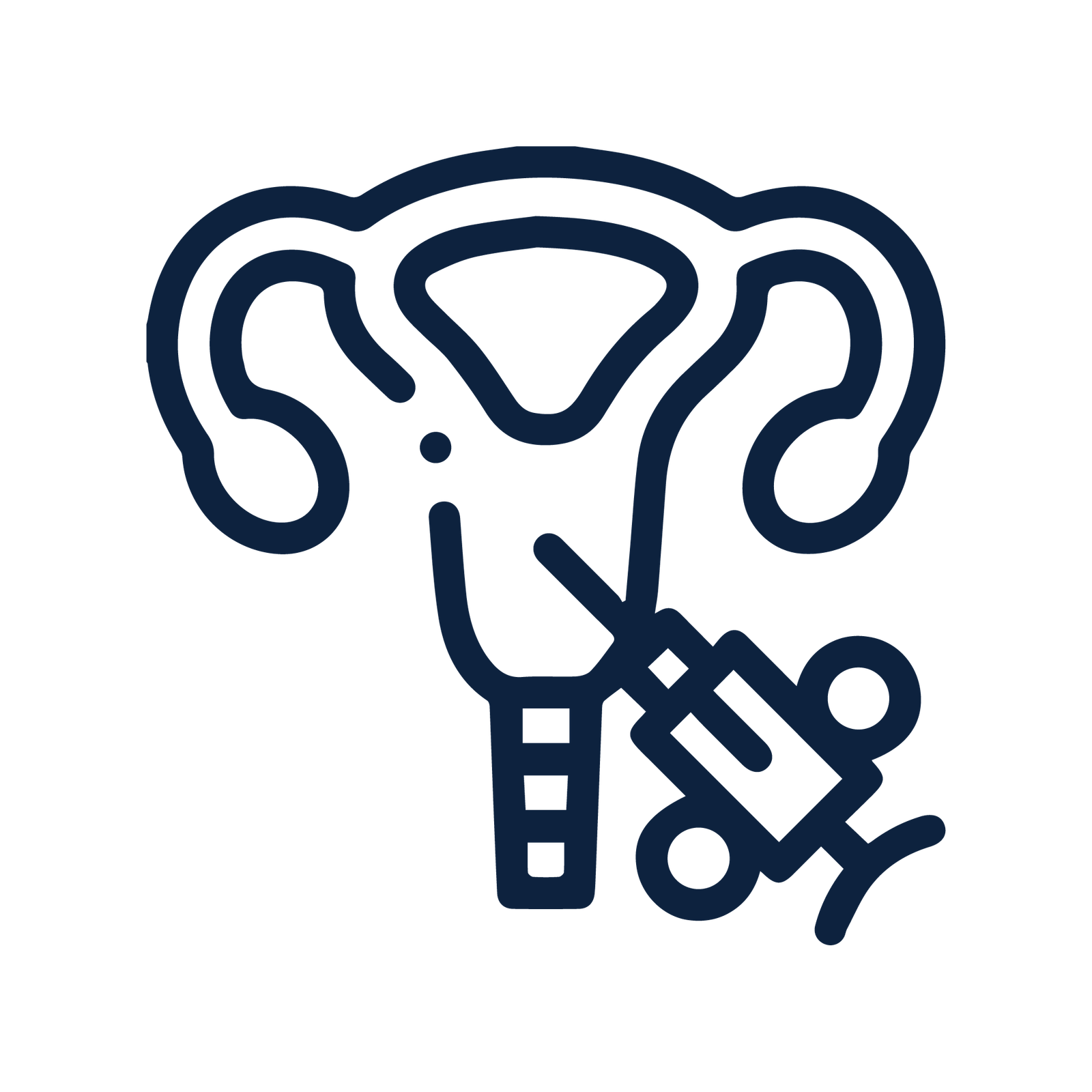 Icon Endometriosis
