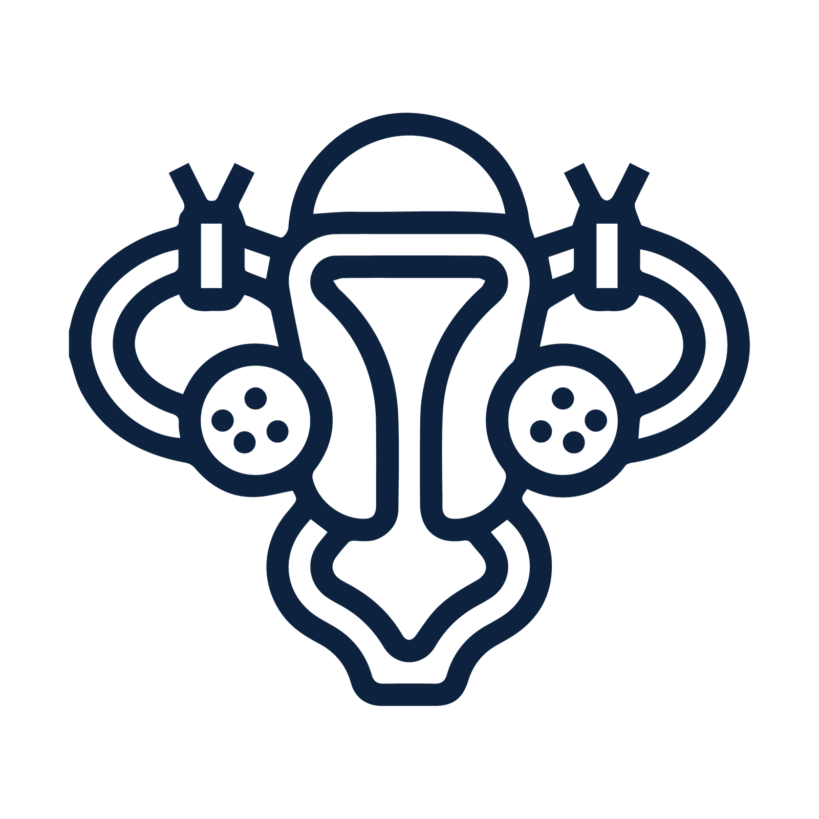 Icon Fibroid 1